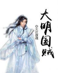 大明国贼