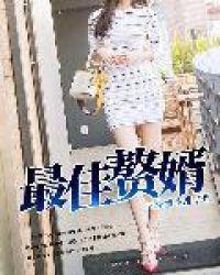最佳女婿小说