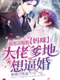 超萌双胞胎：妈咪，大佬爹地想逼婚