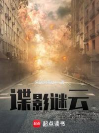 谍云迷踪