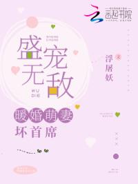 盛宠无敌：暖婚萌妻坏首席