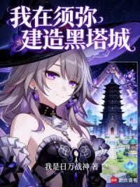 我在须弥建造黑塔城