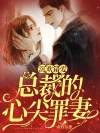 沉欢错爱：总裁的心尖罪妻