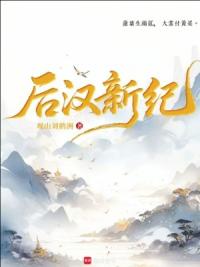 后汉新纪