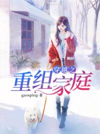 穿越之重组家庭