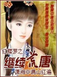 红楼梦之继续荒唐