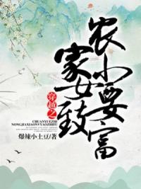 穿越之农家小女要致富