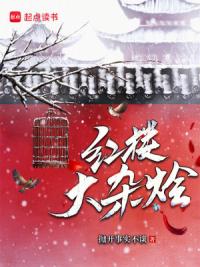 红楼大杂烩