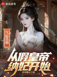 气运皇朝：从假皇帝纳妃开始