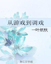 从游戏到调戏