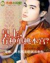 皇上，有种单挑本宫？