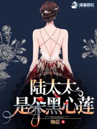 陆太太是朵黑心莲